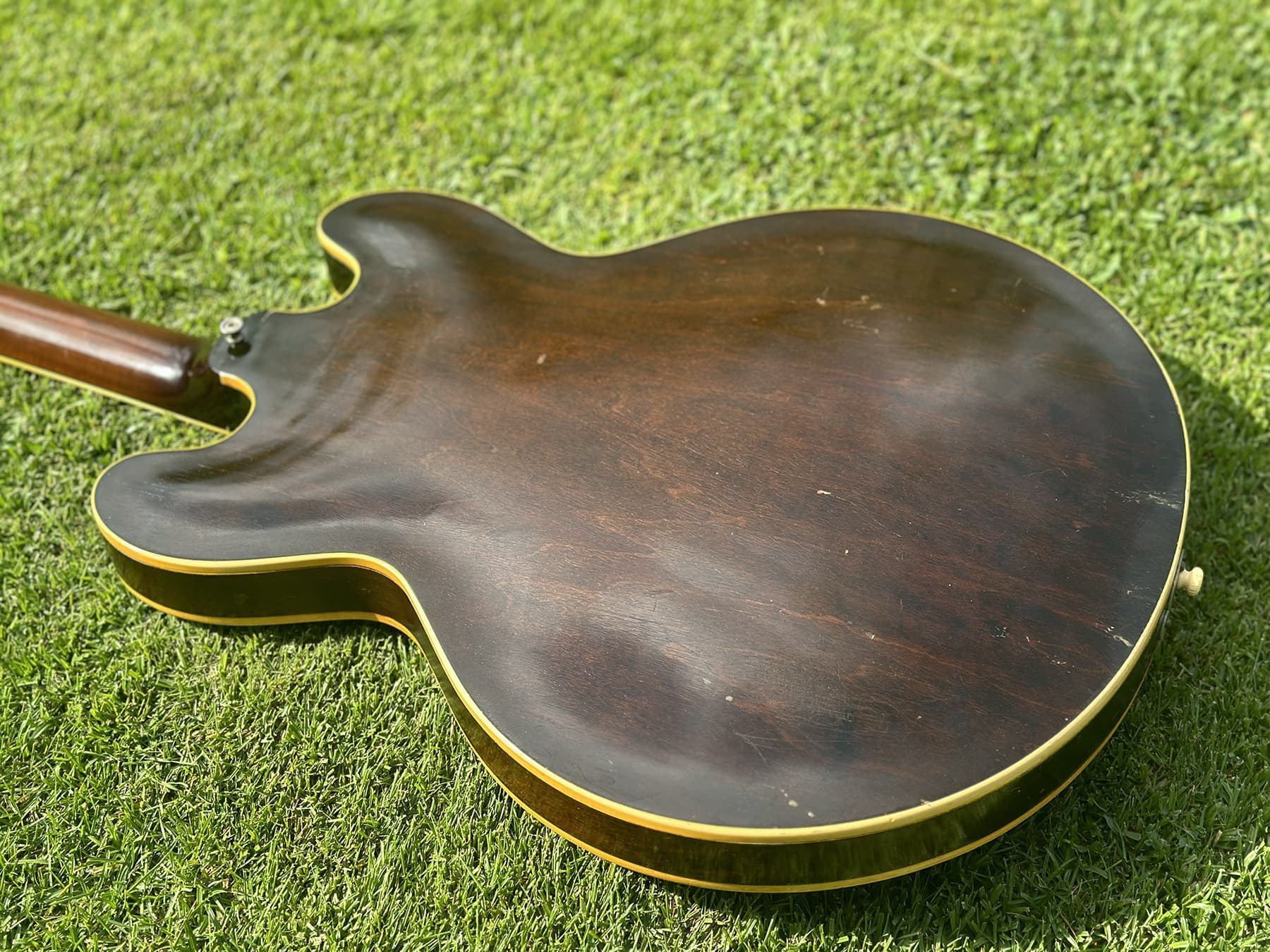 gibson_es-330_43_08_20241215112331668.jpg